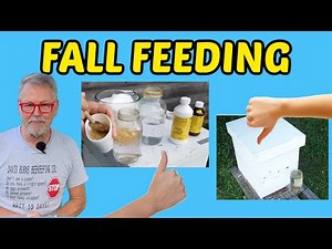 Beekeeping: Advanced Fall Feeding Techniques for Strong Winter Colonies