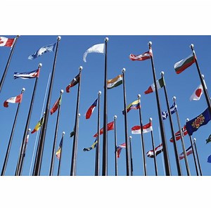 Cross-Cultural Psychology Graduate Programs | Synonym