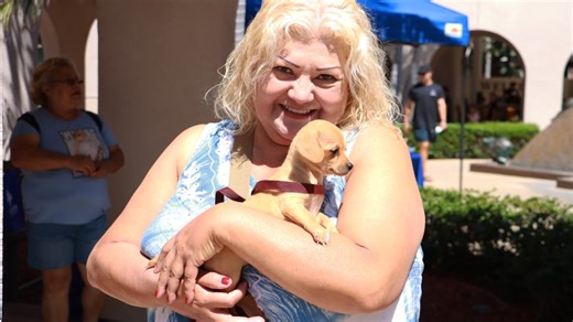 San Diegans adopt 400 pets in one day during annual Clear the Shelters event