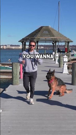 How practical is your dogs training?