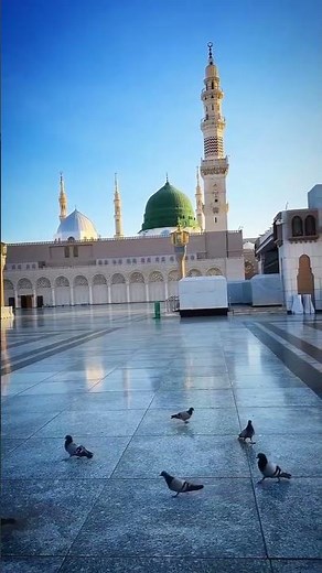 Peaceful View of Masjid-e-Nabwi | Emotional Naat Status | Madina Sharif 2026 ✨🕌