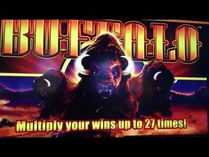 MAX BET - Buffalo & Copper Cash