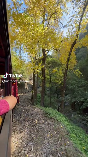 Exploring the Scenic Walhalla Goldfields Railway