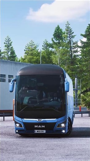 ETS2 Man Lions Coach / Snowymoon Lighting V2 + PNG Graphics mod