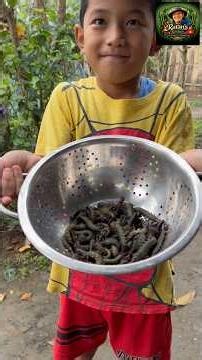 River to Plate: Cooking Panggam – A Special Water Insect! 🌊🔥