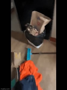 WHY LOW FPS IT'S LITERALLY 10 SECONDS LONG