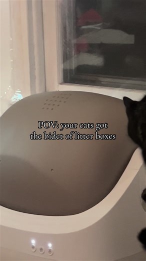 Experience the Ultimate Self-Cleaning Litter Box