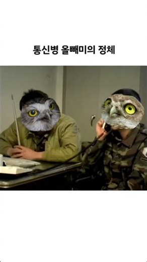 통신병 올빼미의 정체