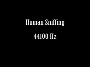 Human Sounds Sniff Sniffing Nose Snort Sound Effect Free High Quality Sound FX