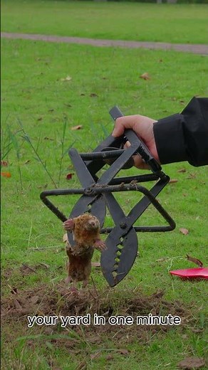 Stop Moles in 1 Minute! The Effortless Trap #MoleTrap #lawncare #pestcontrol #homeimprovement