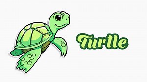 Download Educational animation introduction to animal names, Turtle animal 4k resolution. for free
