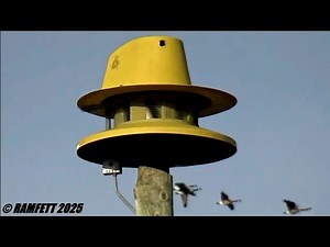 ACA Banshee 115 Tornado Siren Test, Sussex WI 11/13/2024
