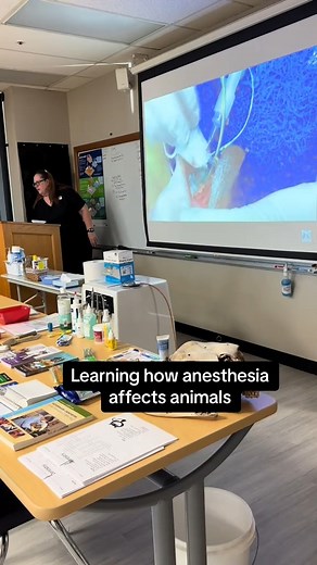 Our Vet Tech students are learning all about anesthesia in the classroom today! | Community Care College
