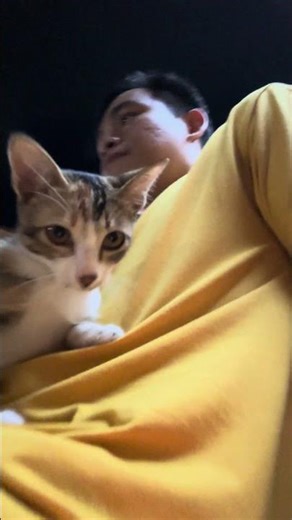 Vui Vẻ 2026 - Sợ Chó