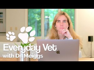 Introduction to Dog Nutrition | Body Condition and Calculating Energy Requirements