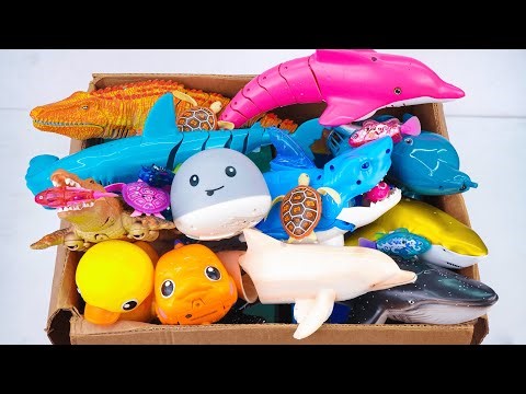 toy asmr | Zuru Robo Alive Shark & Aquarium & Dolphin Compilation ASMR Satisfying with Unboxing