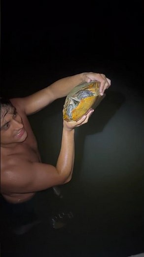 Turtle Hunting In Tennessee