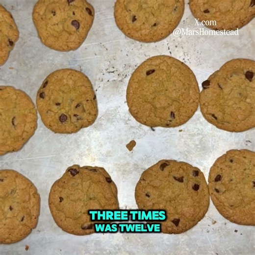 Hey, fam! 🍪 Ever tried baking cookies with an AI & creating a homeschool lesson while you’re at it?