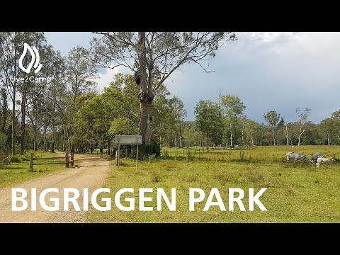 Bigriggen Park Campground - Rathdowney, Queensland