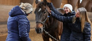 Hälsofrämjande och pedagogiska insatser med häst, Campus Nyköping
