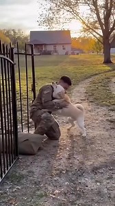 1.6M views · 63K reactions | "¡5 años de espera terminaron! Nuestros soldados valientes regresan a casa y sus mejores amigos, los perros, están desbordando de alegría!  La lealtad y el amor incondicional de estos peludos son verdaderamente inspiradores. ¡Bienvenidos a casa, héroes!  #soldados #perros #amor #lealtad #bienvenidosacasa | El tomás | Facebook