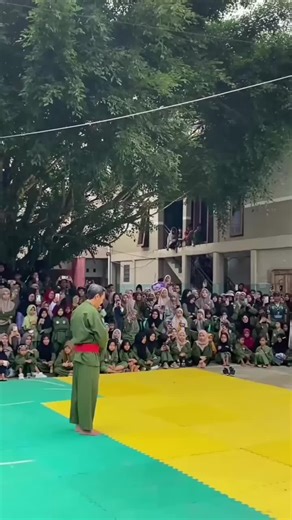 Seni Bela Diri: Persinas Asad dan IPSI