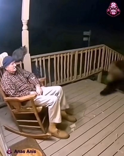 Amazing encounters and boots with animals.. | Wild Life Attack