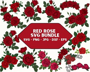 Red Rose Clipart: Floral SVG Bundle (digital Download) - Etsy