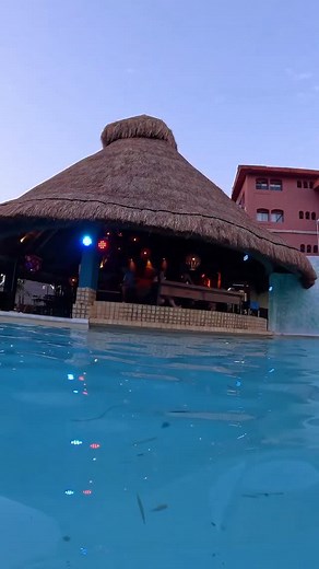 ¡ Gente de VivoEnCancun ! El Caribbean Sunset Music será un increíble evento con reggae, merengue, vallenato, ska y mucho más con @seisenlaselva @lagrande_oficial y Jandread Selektha , todo a la orilla de la laguna con una increíble vista al atardecer. Los boleros están ya a la venta al teléfono 998103107 o en @crispyhaus Ahí nos vemos ! #Cancun #DondeIrEnCancun #Reggae #Ska #Concierto | Vivo En Cancun