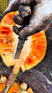 "Check out how to prep this delicious Red Surya Jackfruit! | ปอน วันทานุวง