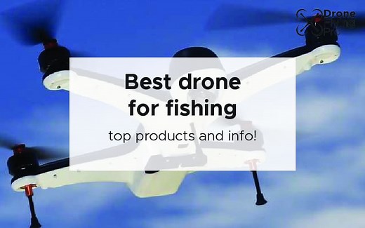 Best drone for fishing [2022 top drones and info]