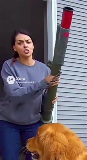 Dog steals the rocket launcher and blows up neighbors car. #funny #shorts #dog