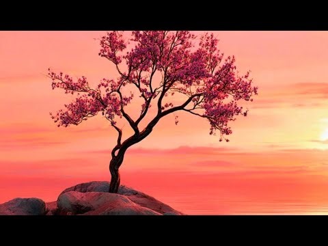 Drake Ft Playboi Carti - Pain 1993 (Slowed + Reverb)