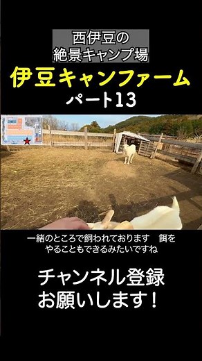 Izu Cam Farm! The scenery alone is worth the trip! 13 #CampsiteReview #IzuCamFarm #Camping