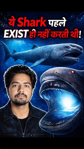 Accidental Discovery: The Weirdest Shark Ever Found