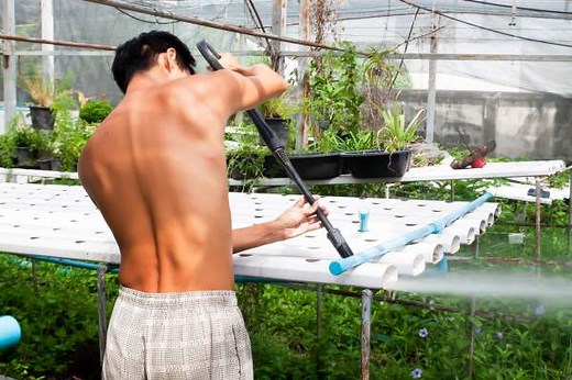How to Clean a Hydroponic System: A Step-By-Step Guide - THP