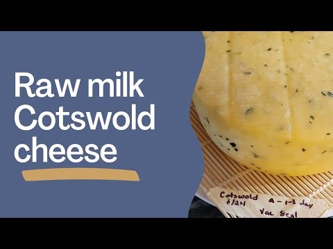 How to make a Cotswold cheese || Raw Milk Cheese || Clabber Cultured