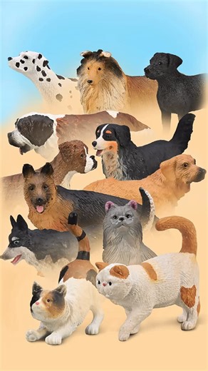 CollectA | #collecta #collectibles #pets #minipets #dogs #dog #cats #cat #toys #toy #educationaltoys | Instagram