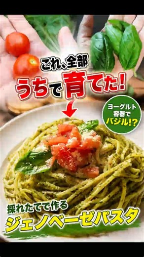 [The Best Part of Home Gardening] Freshly Picked Cherry Tomato and Basil Pasta is Exquisite #Gard...