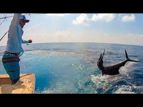 Most EPIC Sailfish Video Ever! GIANT Pacific Sailfish (Quepos, Costa Rica)