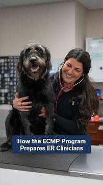 Interested in Becoming an Emergency Veterinarian?