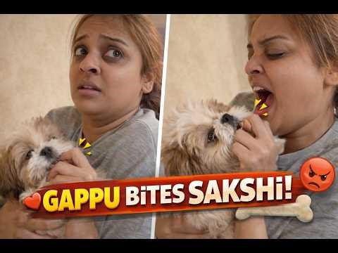 Love Ya Attack? 😂 | Shih Tzu Puppy Bites Sakshi