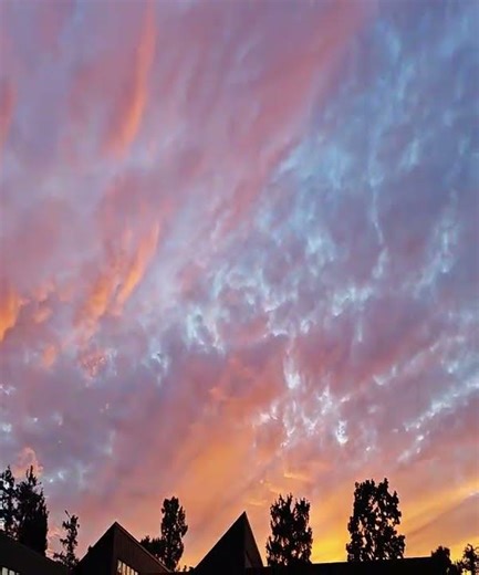 你從沒見過的晚霞 Sunset in Higashikawa Town #東川町 #Higashikawa Town #japan #日本 #travel #日本旅行 #Sunset #晚霞 #北海道