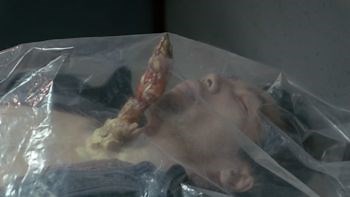 The X-Files S02 E09 "Firewalker" - TV Tropes