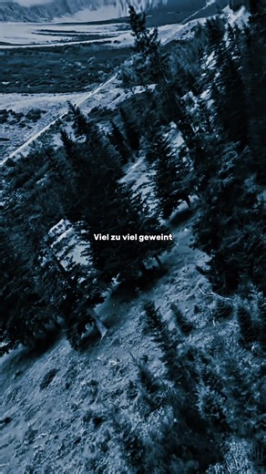 ~Unendlichkeit~ #song #unendlichkeit #germanbanger #fy #lyrics