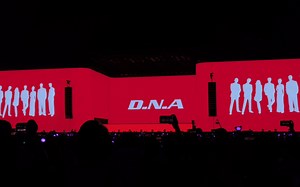 All in 张艺兴 单依纯 马伯骞