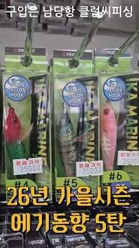 26년 가을 에기동향 5탄