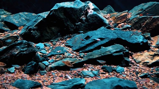 A&Aqua Pro on Instagram: "For a stream tank, choose a slightly lower water level; the ideal depth is 26–30 cm, and a tank width of 60 cm is best#foryoupage❤️😍 #reelsfacebook #reelsinstagram😍 #Dropshipping #fishtank #aquariumsupplies #aquariumlife #aquarium"