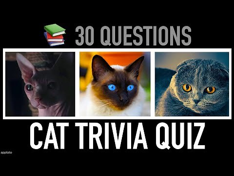CAT TRIVIA QUIZ - 30 Cats General Knowledge Trivia Questions and Answers Pub Quiz