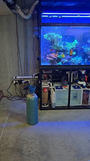 Why i always keep a second co2 tank for my calcium reactor | FishofHex